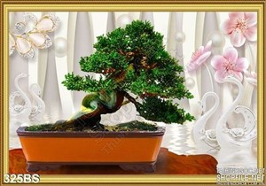 Chậu bonsai mini để bàn trang trí