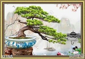 Chậu bonsai cây khế tỏa bóng mát