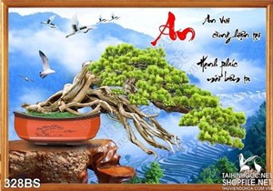 Chậu bonsai tán rộng nghệ thuật chữ an