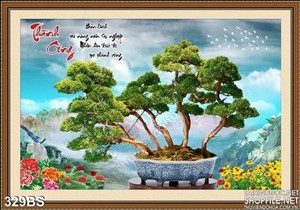 Chậu bonsai thịnh vượng năm 2020
