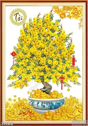 Chậu bonsai hoa mai tài lộc năm 2020