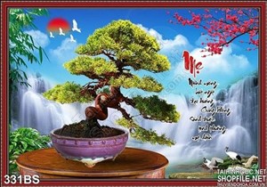 Chậu bonsai hoa mai thác nước và chữ mẹ