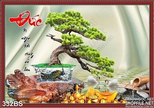 Chậu bonsai chữ đức và chậu hoa chim công