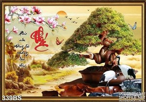 Chậu bonsai nghệ thuật chuxwc phúc độc đáo