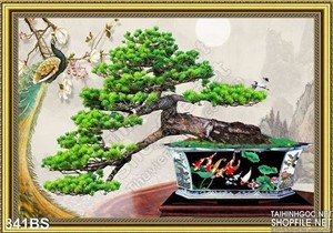 Chậu bonsai nhật bản và chim công