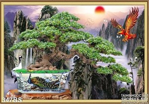 Chậu bonsai nhiều tuổi và con đại bàn