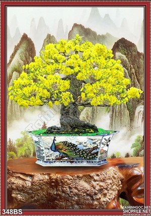 Chậu bonsai hoa mai rực rỡ 2020