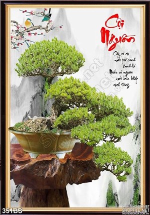 Chậu bonsai cây khế cội nguồn in gạch