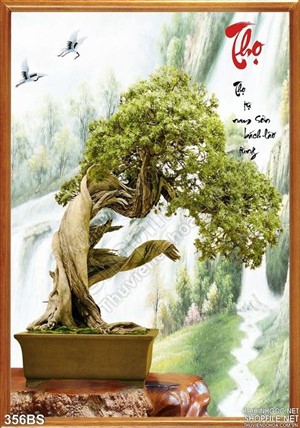 Chậu bonsai nghệ thuật in gạch đẹp năm mới