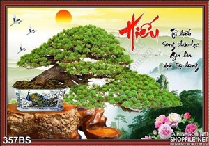 Chậu bonsai lớn chữ hiếu