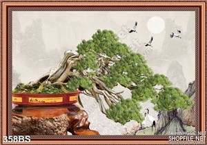 Chậu bonsai ngã bóng mát in gạch độc đáo