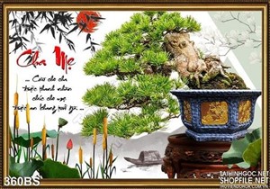 Chậu bonsai gốc lớn ấn tượng chữ cha mẹ