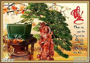 Chậu bonsai xòe tán và bức tượng phật năm 2020