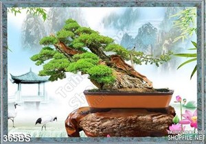 Chậu bonsai um tùm lá và chim hạc