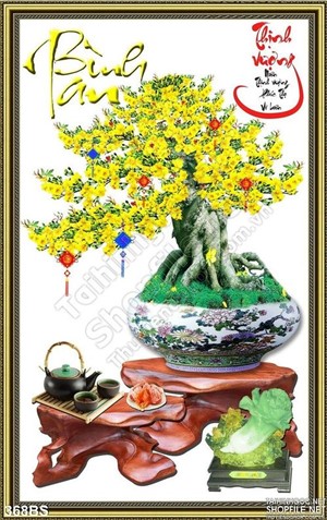 Chậu bonsai 3d wall hoa mai và ấm trà
