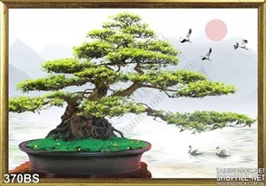 Chậu bonsai lớn và đàn chim hạc
