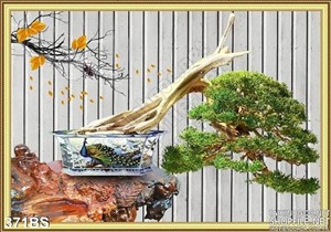 Chậu bonsai 3d decor wall đẹp ấn tượng