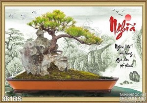  Chậu bonsai mini và hòn đá cuội đẹp ấn tượng