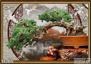 Chậu bonsai dáng rồng bay bên khung cửa sổ