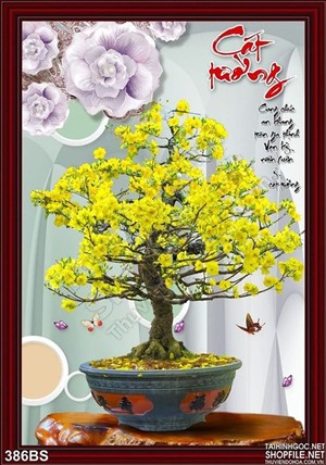 Chậu bonsai hoa mai cát tường