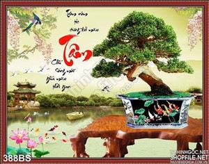 Chậu bonsai chữ tân và cá chép