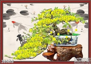 Chậu bonsai hoa mai lớn nở rộ đón xuân