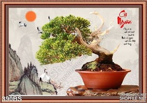 Chậu bonsai cội nguộn nghệ thuật đẹp