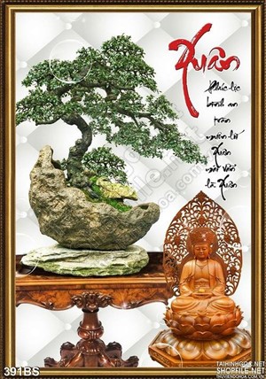 Chậu bonsai mini để bàn độc đáo trang trí xuân