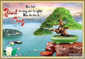 Chậu bonsai nghệ thuật và vịnh hạ long