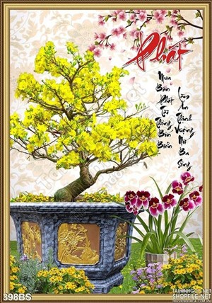 Chậu bonsai hoa mai phát tài phati lộc