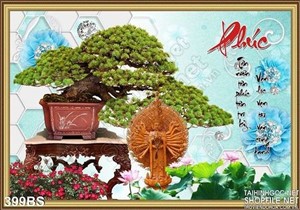 Chậu bonsai lớn và chữ phúc
