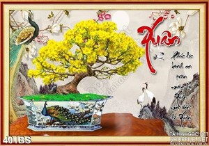 Chậu bonsai mai ấn tượng xuân 2020
