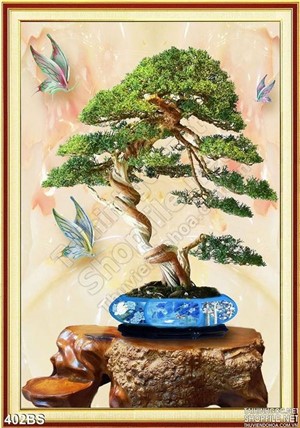 Chậu bonsai kiểu dáng ấn tượng