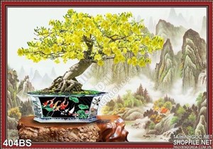 Chậu bonsai hoa mai phong thủy hữu tình