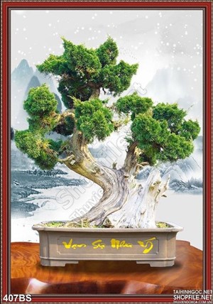 Chậu bonsai nghệ thuật vạn sự như ý