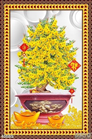 Chậu bonsai hoa mai lớn