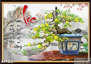 Chậu bonsai hoa mai nhỏ để bàn