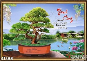 Chậu bonsai nghệ thuật độc lạ thành công