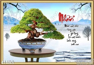 Chậu bonsai và cái bàn tròn gỗ đẹp