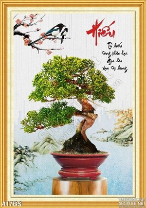 Chậu bonsai khổ dọc chữ hiếu in gạch uv