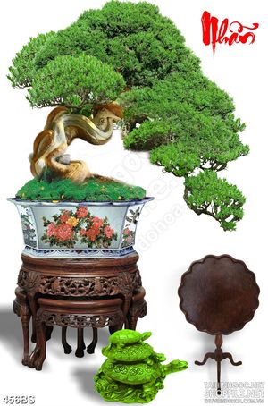 Tranh chậu bonsai nghệ thuật bên chữ Nhẫn thư pháp in uv