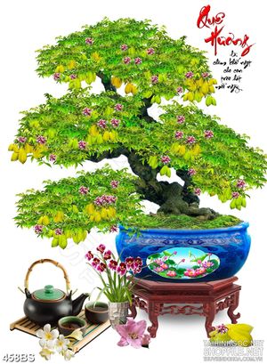Tranh chậu bonsai in gạch men cây khế trổ hoa tím mừng xuân