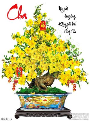 Tranh chậu bonsai mai vàng nở rộ bên chữ thư pháp Cha Mẹ