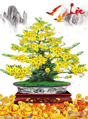Tranh chậu bonsai in uv mai vàng bên núi kim tiền đón tết
