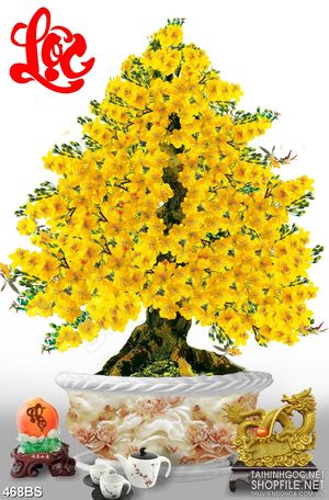 Tranh chậu bonsai trang trí mai vàng bên chữ Lộc thư pháp
