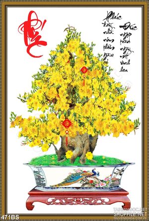 Tranh chậu bonsai decor mai vàng nở rộ bên thư pháp phúc đức