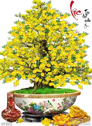 Tranh chậu bonsai dán tường mai vàng phát tài phát lộc in 8d