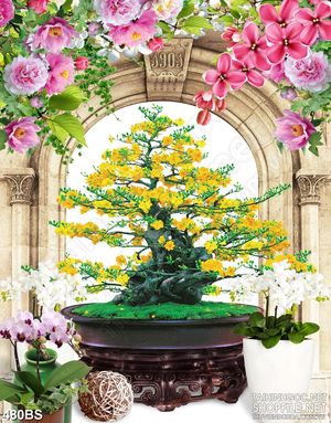 Tranh chậu bonsai mai vàng và hoa phong lan khoe sắc trang trí