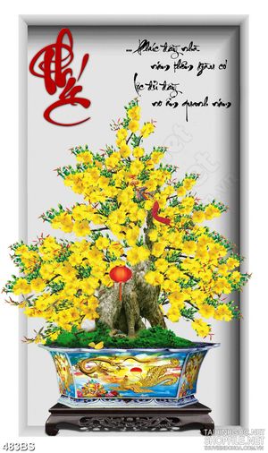 Tranh chậu bonsai mai vàng khoe sắc mừng xuân dán tường in 8d