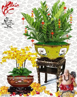 Tranh chậu bonsai decor hoa phong lan vàng đón xuân treo tường